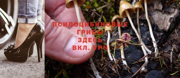 spice Куйбышев