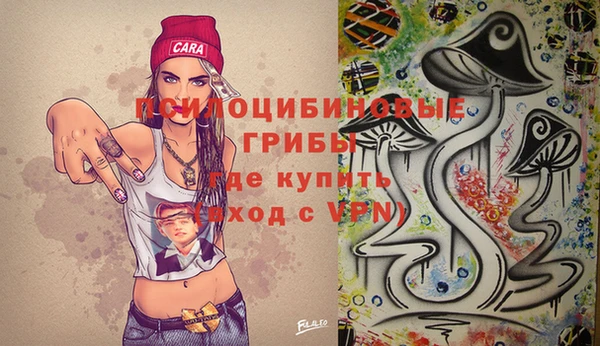 бошки Алзамай