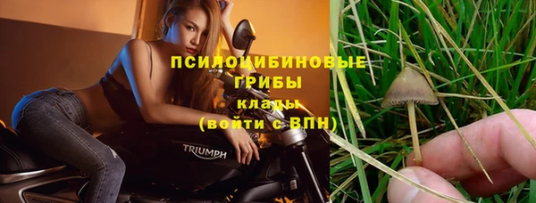 spice Куйбышев